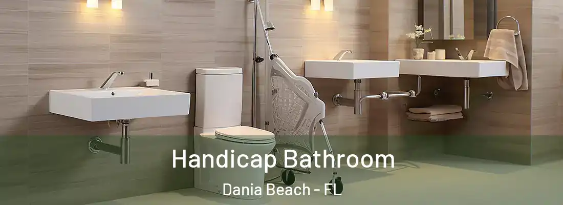 Handicap Bathroom Dania Beach - FL
