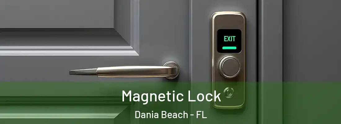 Magnetic Lock Dania Beach - FL